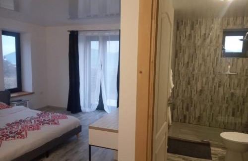 Viisoara Villa | Casa Prieteniei - rezervare integrală
