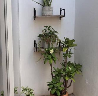 Tuxtla Gutierrez House | Casa Primavera