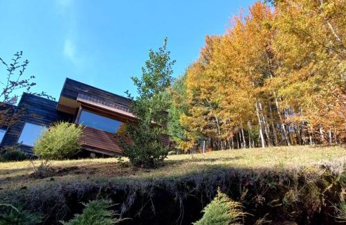 Minetue House | Casa Pucon sector Laguna ancapulli