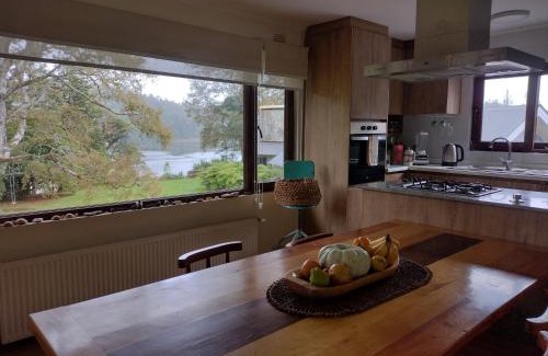 Valdivia Cabin | Casa Río Vivo