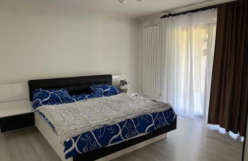 Sighetu Marmatiei House | Casa Rafael