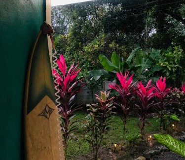 Cahuita Apartment | Casa Rio Verde