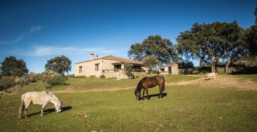 San Vicente de Alcantara House | Casa Rural La Vega