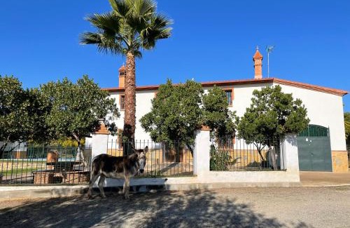 Aracena Ski Chalet | Casa rural la Galvana