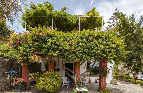 Guajar Faraguit House | Casa Rural La Molinera