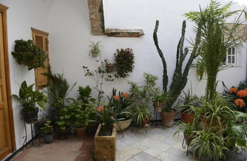 Arcos de la Frontera House | Casa Rural Las Cadenas del Cananeo