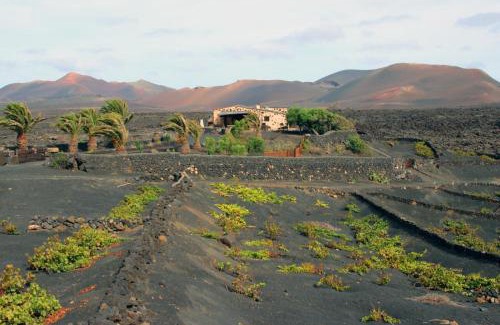 La Geria House | Casa Rural Vega de Timanfaya