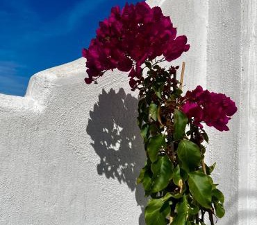 Historic Center of Estepona Apartment | Casa San Miguel