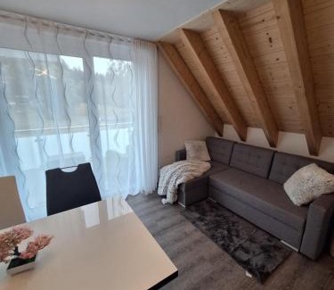 Schluchsee Apartment | Casa Schluchsee