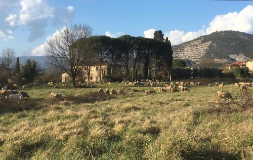 Monsummano Terme Apartment | Casa Silvy - Vista su Monsummano Terme - Centro Termale