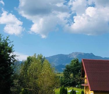Calimanesti Villa | Casa Sofia