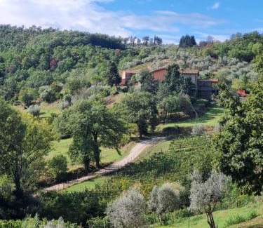 Greve in Chianti Apartment | Casa Solatii Montefioralle