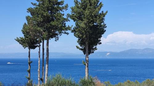Gaios House | Casa Soula, Gaios Seaview Cottage