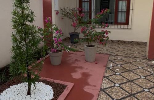 Soure House | Casa Soure