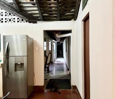 Leon House | Casa Suchtli