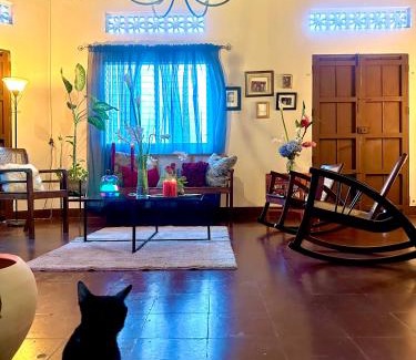 Leon House | Casa Suchtli
