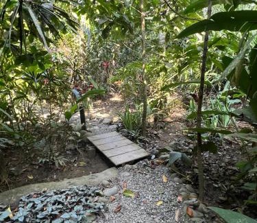 Cocles House | Casa Teka a Peaceful Stay Near Beach and Town
