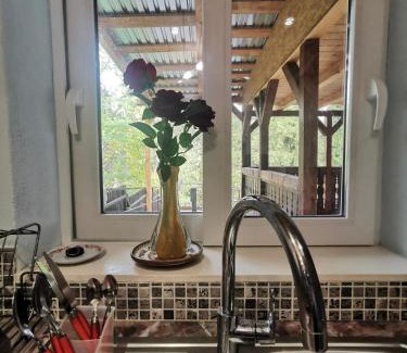 Baile Olanesti House | Casa Tihna