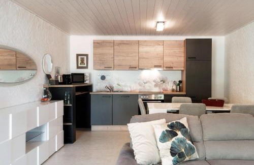 Giubiasco Apartment | Casa tra le Vigne by Quokka 360 - flat with magnificent vineyard view
