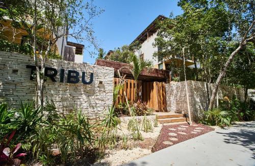 Zama Apartment | Casa Tribu Luum Zama
