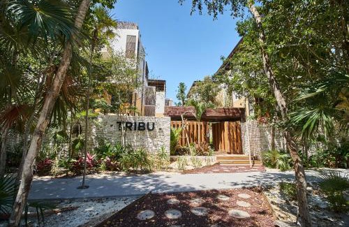Zama Apartment | Casa Tribu Luum Zama