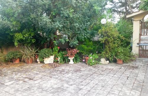 Monti D'arena-Bosco Caggione Apartment | Casa vacanze Il Carrubo