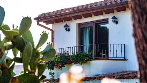 Capitana House | Casa Vacanze " IS MERIS "