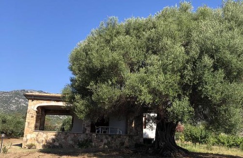 Orosei House | Casa Vacanze L'Olivastro OROSEI