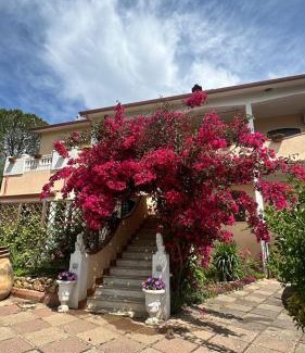 Iglesias Apartment | Casa Vacanze La Brii