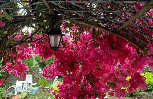 Iglesias Apartment | Casa Vacanze La Brii