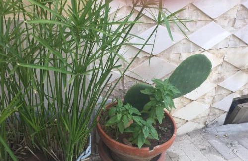 Marina di Ragusa House | Casa Vacanze Le Rose