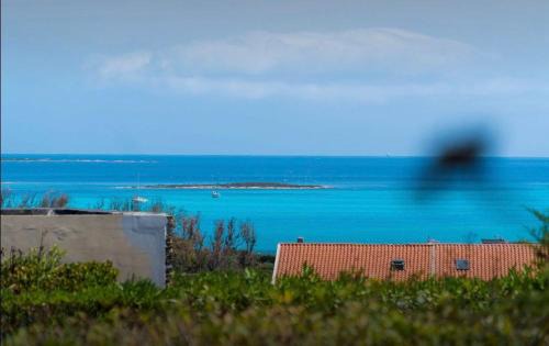 La Pelosa House | Casa Vacanze - Li Nassi
