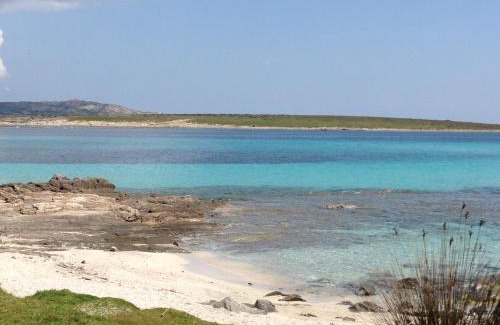 La Pelosa House | Casa Vacanze Punta D'Elice