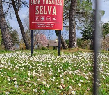 Premariacco House | Casa Vacanze Selva