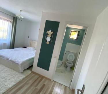 Tohanu Nou House | Casa Valex