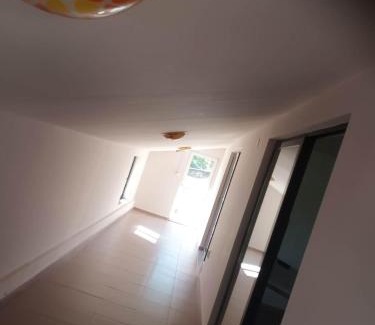 Carei House | Casa Verde 2