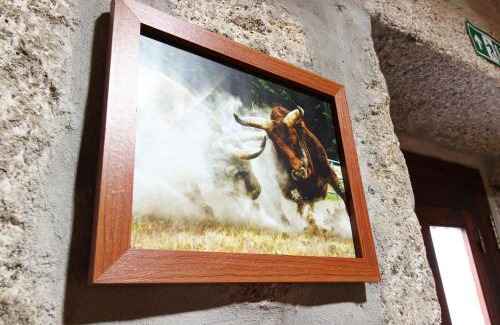Viade de Baixo House | Casa Viade