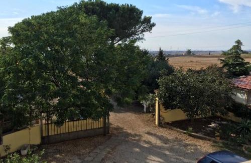 Tarquinia Bed & Breakfast | Casale Fernando