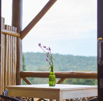 Alto Paraiso de Goias House | Casas Gengibre