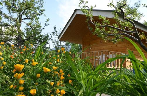 Manali Bed & Breakfast | Cascade Mountain Retreat Manali