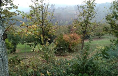 Alba Bed & Breakfast | Cascina Baresane