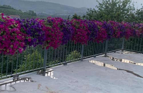 Neive Bed & Breakfast | Cascina La Corte