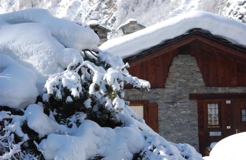 Coveyrand-Vieu Apartment | Case Gran Paradiso Rhemes Saint Georges