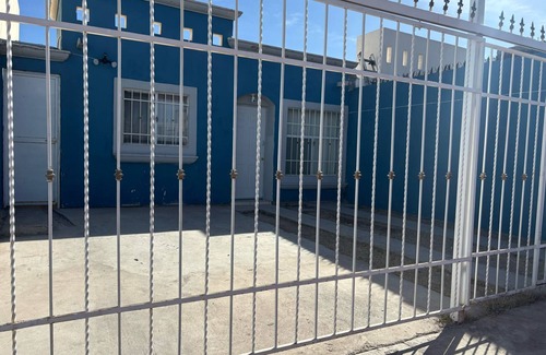 Chihuahua House | Casita Blue