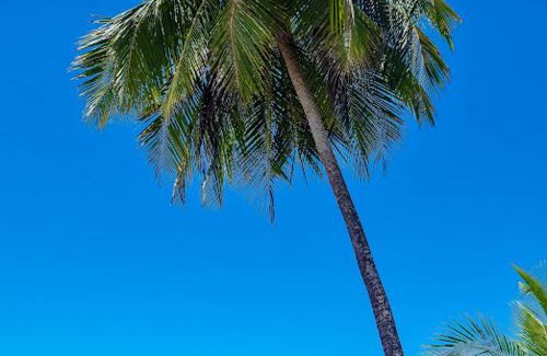 Puerto Viejo de Talamanca Apartment | Casita Ola N en Caribe Sur