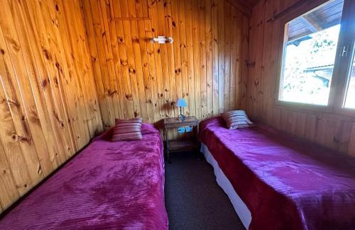 Lanin National Park Ski Chalet | Casita Roca - Pleno Centro