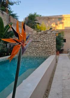 Centro Apartment | Casitas Merida