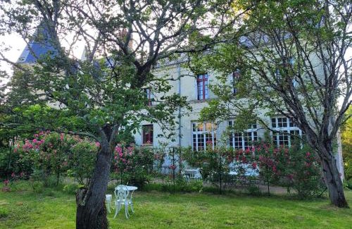 Langeais Bed & Breakfast | Castel Saint Laurent