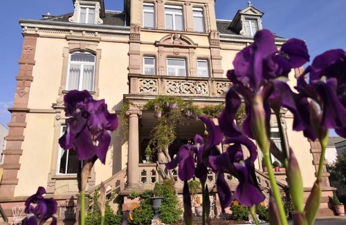 Colmar House | Castelnau