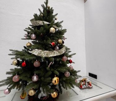 Santa Cruz de Tenerife House | Castillo Emblematic Rooms